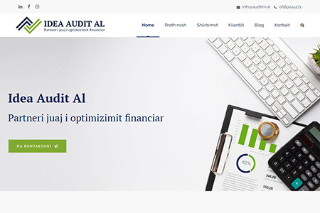 Αρχική σελίδα της Idea Audit